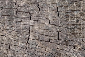 Texture of old cracked wooden surface, wood background