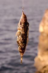 fishing on the river © underworld