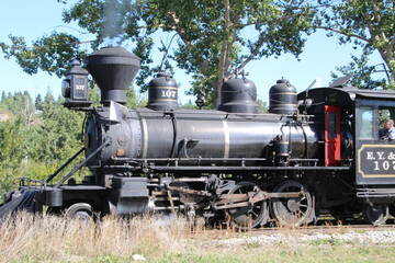 Iron Horse, Fort Edmonton Park, Edmonton, Alberta