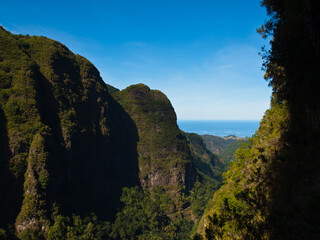 Fototapeta na wymiar View to the sea across Madeira mountains from Levada do Caldeirão Verde path