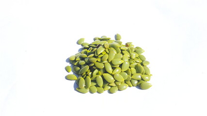 Young Leucaena leucocephala seeds isolated on white background.Common names include jumbay, white leadtree,river tamarind,ipil-ipil,tan tan, and white popinac