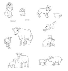 The young animal and adult animal.  Hand drawn sketch style cow , pig , собака, овца и кошка outline set. Isolated icons on a white background. Vector contour illustration.