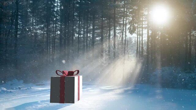 Christmas gift box and sunny snowy landscape with snowfall. 
