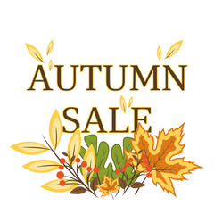bright vector banner for autumn sale with leaves and berries