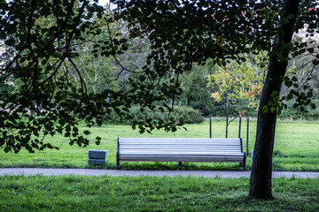 Lonely, empty park bench. Slender, beautiful trees in the park. Day. Autumn, Russia.