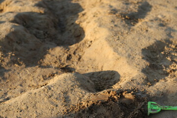 Figures from the beach set of toys are lying on the sand.