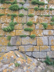 bricks - wall - orange - construction 