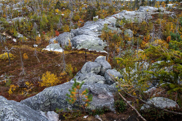 Swamp or lake with megalithic seid boulder stones, dead trees in nature reserve on mountain Vottovaara, Karelia, Russia.