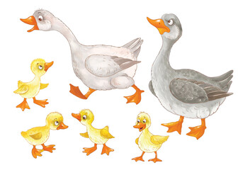 At the farm. Family of cute geese. Coloring page. Illustration for children. Cute and funny cartoon characters