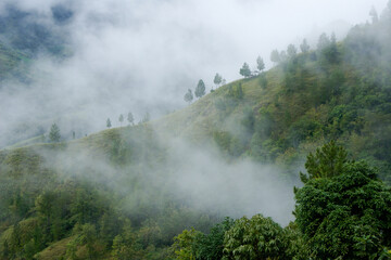 Clouds drifting in hills of Tana Toraja, South Sulawesi, Indonesia