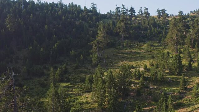 4K aerial footage to Baltses - Pindos National Park, Epirus, Greece