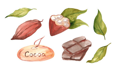 Set of watercolor illustrations of cocoa beans, cocoa leaves, dark chocolate, wooden plate on a white background. Coffee shop, cafe decoration
