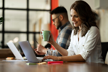 Happy businesswoman working on laptop. Portrait of beautiful businesswoman in the office..