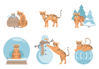 Fototapeta premium Tiger in different poses. Cute animal in winter season