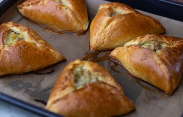 Cool five pies with chicken filling on a baking sheet. Side view

