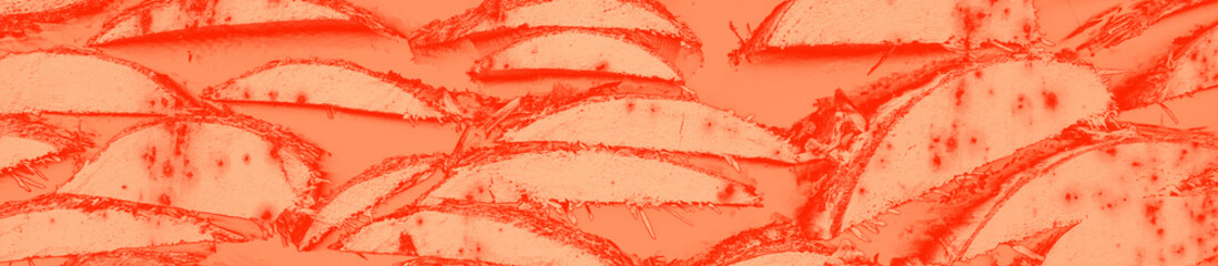 abstract live coral color background for design