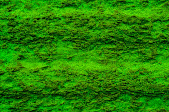 Green Rough Texture For Tapete