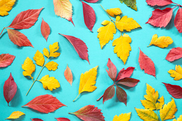 Plakat Autumn leaves
