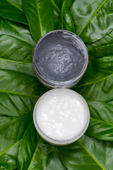 face mask mud and face cream on the background of nature green leaves