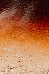 Contaminated brown water in a pond in nature