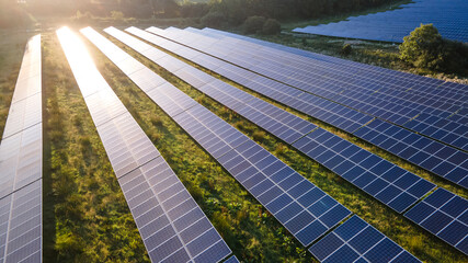 Aerial view of the solar panel in solar farm in evening sun light.