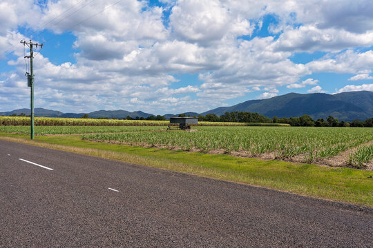 Irrigation Pump Shed In Canefields