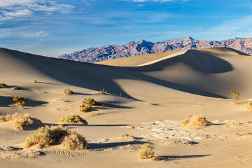 Sand dune, Mesquite Sand Dunes, Death Valley, California. Near slope covered in shadows. Plants in foreground. Mountains in the background; blue sky and clouds above.
