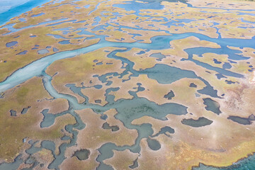 Narrow channels meander through a salt marsh in Pleasant Bay, Cape Cod, Massachusetts. This type of wetland habitat is vital feeding grounds for migrating birds, fish, and many marine invertebrates.