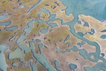 Narrow channels meander through a salt marsh in Pleasant Bay, Cape Cod, Massachusetts. This type of wetland habitat is vital feeding grounds for migrating birds, fish, and many marine invertebrates.