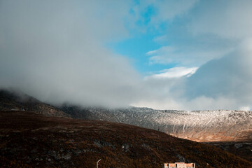 Thick fog in the mountains in the north of russia, many plants on the ground 