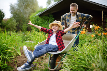 Happy little boy having fun in a wheelbarrow pushing by dad in domestic garden on warm sunny day. Active outdoors games for family with kids in the backyard