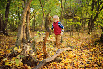 Naklejka na ściany i meble Little boy having fun during stroll in the forest at sunny autumn day. Active family time on nature. Hiking with little kids.