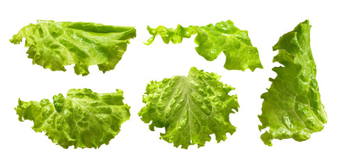 Fresh lettuce leaves with water drops isolated on white background