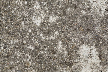 
Old grey concrete wall with concrete texture for background. Front view with copy space.