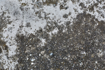 
Old grey concrete wall with concrete texture for background. Front view with copy space.