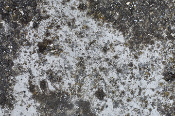 
Old grey concrete wall with concrete texture for background. Front view with copy space.