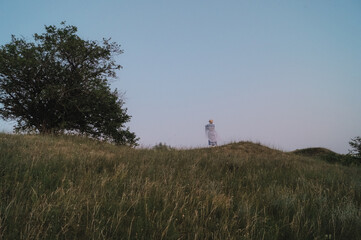 people in the meadow