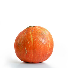Pumpkin. Cucurbita pepo. One little orange Squash isolated on white background