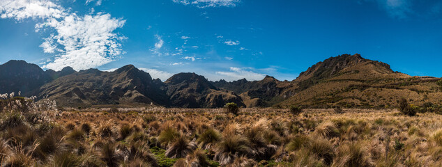 panorama of the mountains andes grassland mountains silhouettes