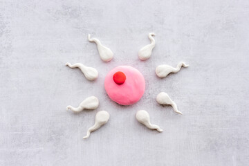 Female ovum and sperm made of plasticine. Pregnancy concept