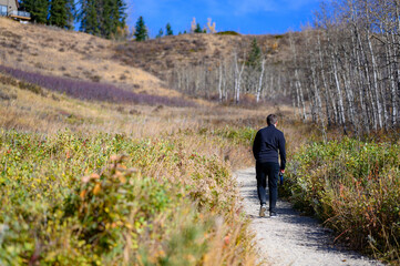 Obraz premium walking in the park