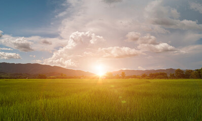 Obraz premium Beautiful sunrise over mountains and green rice field. countryside landscape in Thailand
