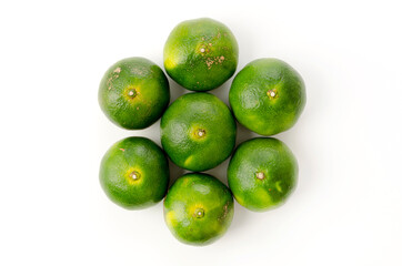 青切り温州みかん