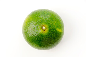 青切り温州みかん