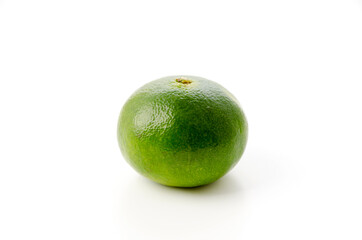 青切り温州みかん