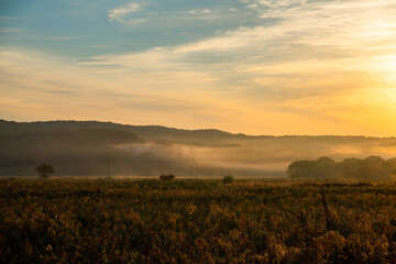 Beautiful image of foggy morning at autumn. Space for text. Travel and freedom conceptual photo