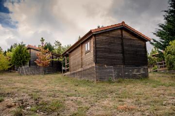 Wooden country houses surrounded by greenery, cloudy sky.