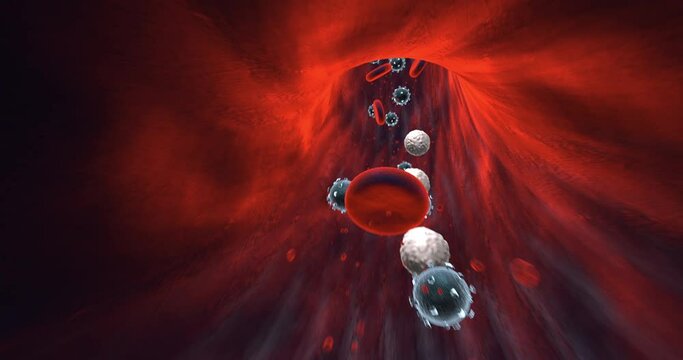 Viruses And Blood Cells Flowing Inside Of Human Vein. Infected Human. Perfect Loop. Science And Health Related High Quality 3D Animation.