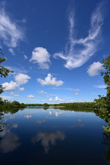 Fototapeta na wymiar Beautiful high altitude late summer cloudscape over Paurotis Pond in Everglades National Park, Florida.