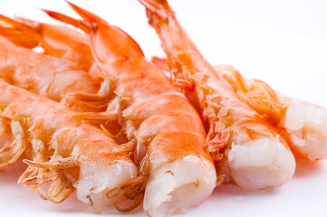 Tiger shrimp isolated on white